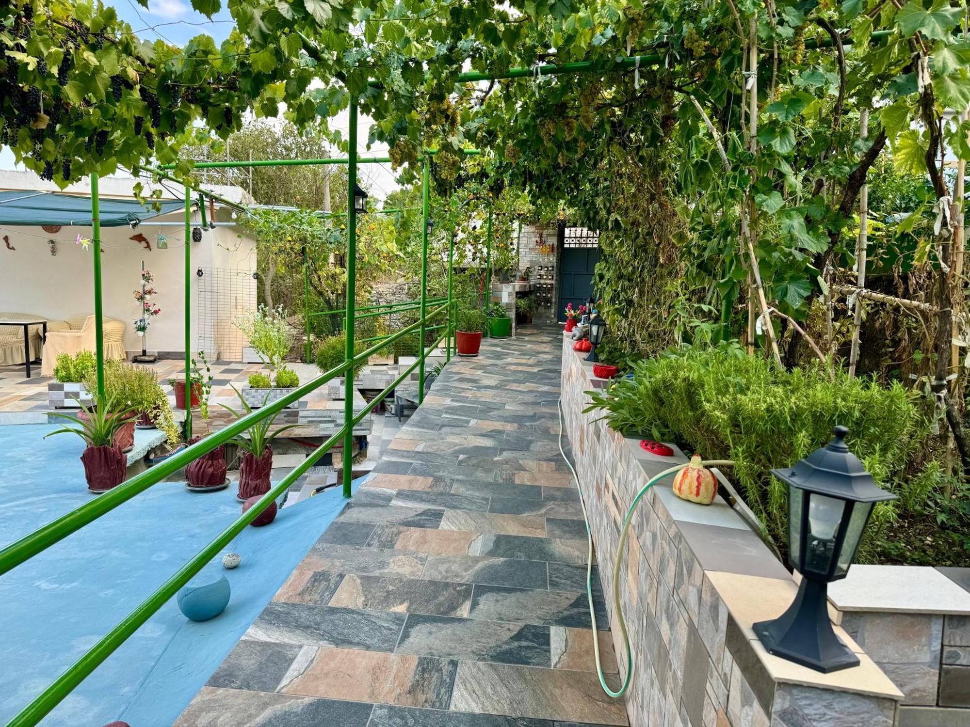 Panoramic View Guest House Gjirokastër Esterno foto